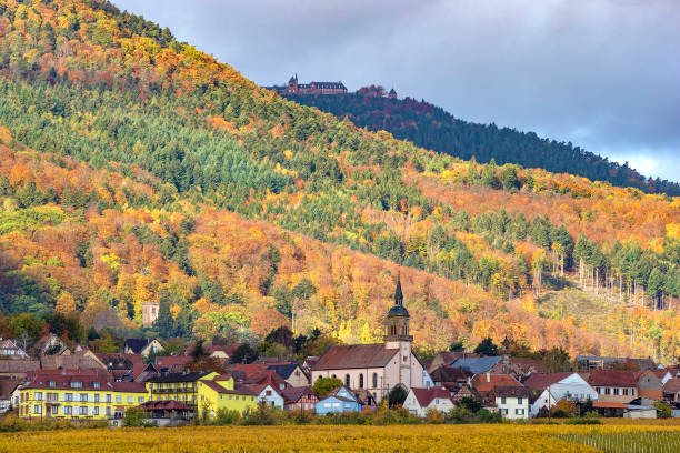 An Alsace wine village below the Vosges in full autumn colour
