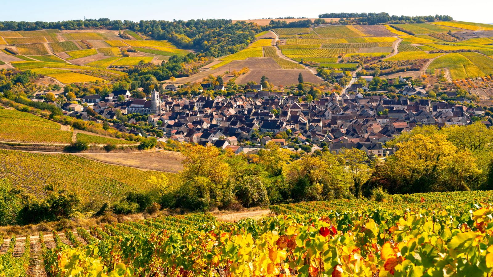 Chablis in its bowl of vineyards, the grand cru slope above