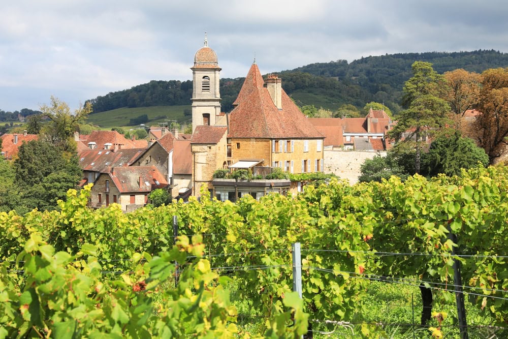 Ch&acirc;teau-Chalon above its vines &mdash; fifty hectares, and the smallest appellation in France