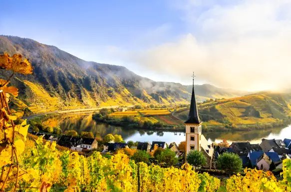 A bend of the Mosel — vineyards on the slate above a village spire