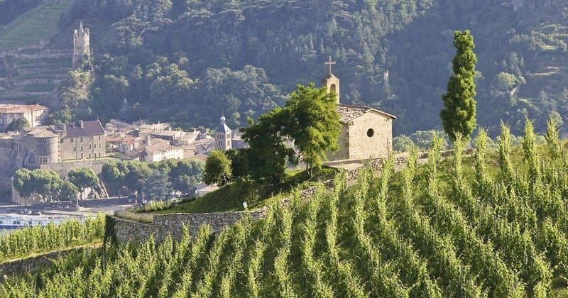 The chapel on Hermitage hill, above the terraces and the Rhône