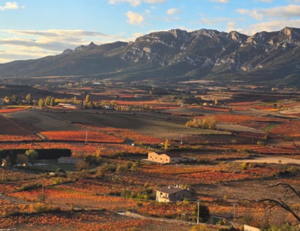 Penedès vineyards turning, under the limestone ridge