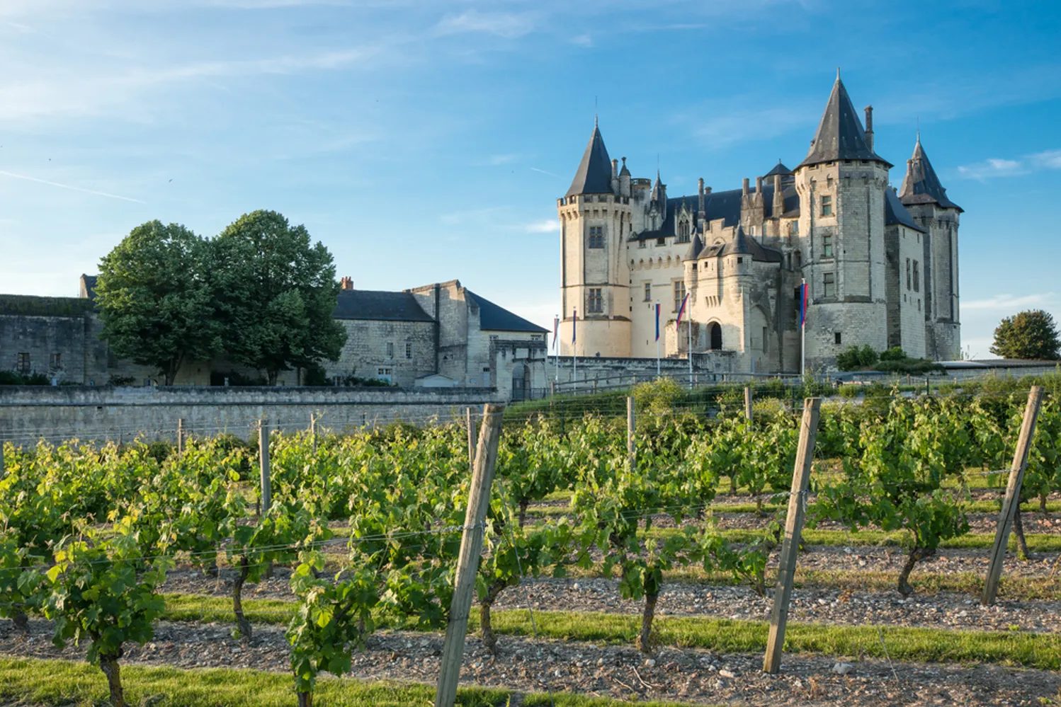 The château at Saumur, seen across the vines