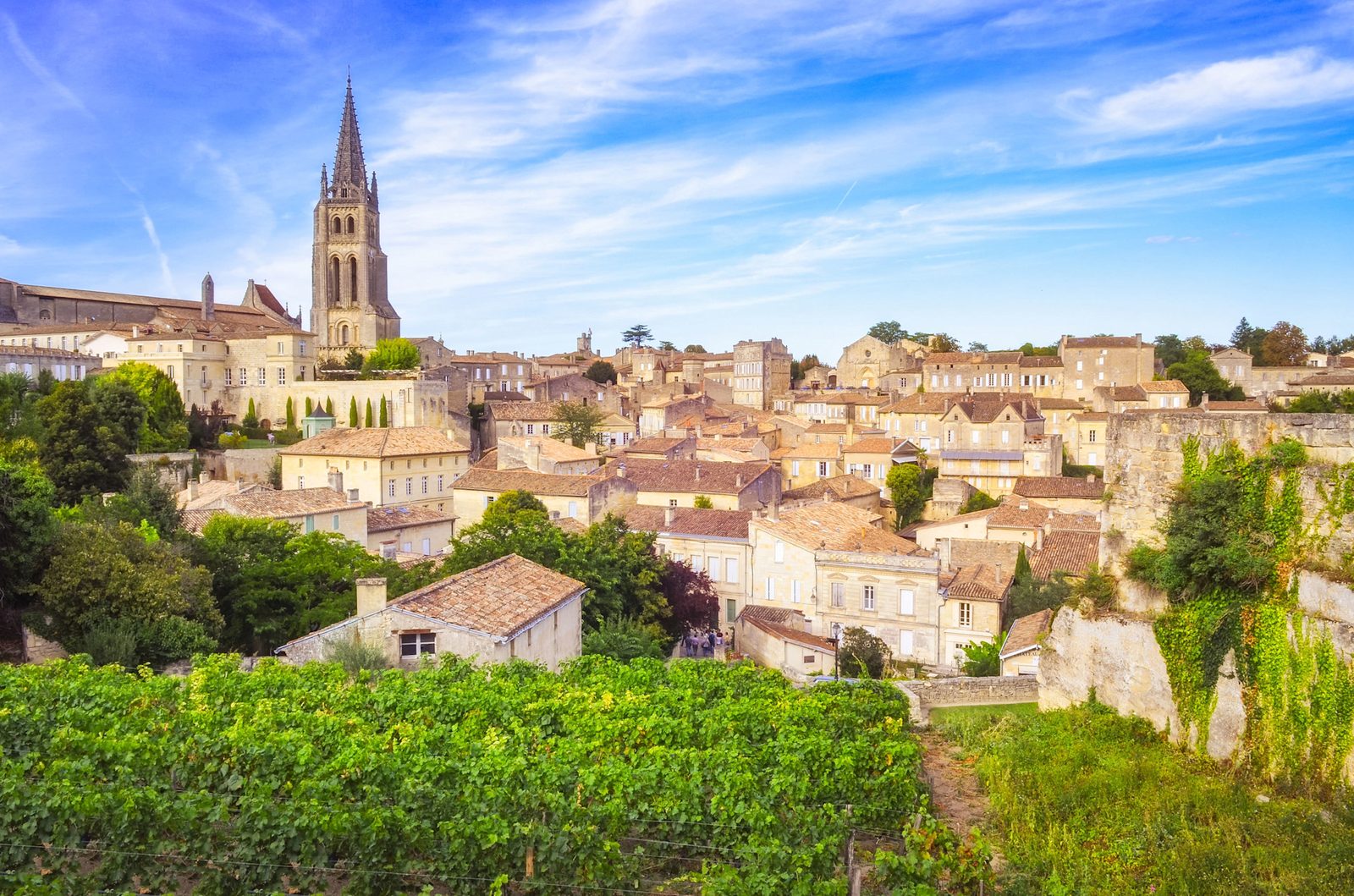 Saint-Émilion above its vines, the bell tower over the monolithic church